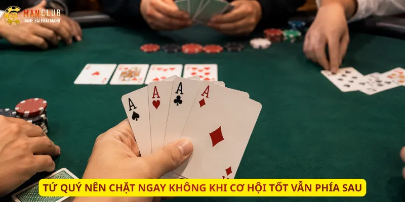 Tứ quý nên chặt ngay không khi cơ hội tốt vẫn phía sau