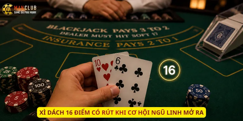 Xì Dách 16 điểm có rút khi cơ hội Ngũ Linh mở ra